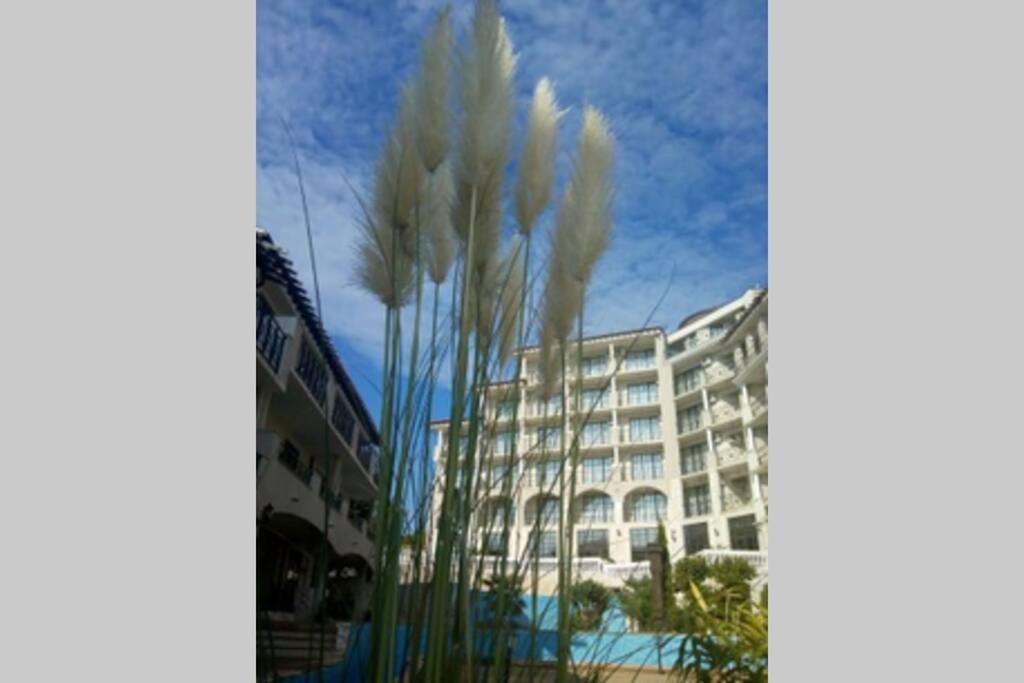 Studio At "The Cliff" Complex South Beach Obzor, Private Appartment A2A5 Exterior foto
